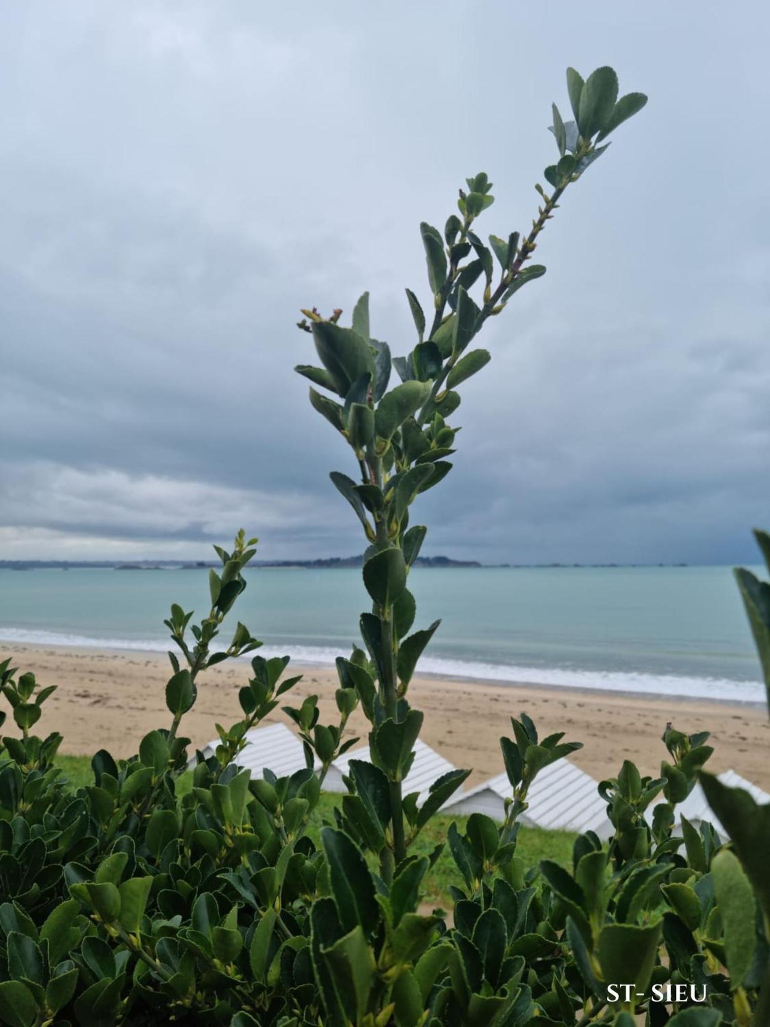 Brise Marine Du Prieure Spacieux Lumineux A 2 Min De La Plage Dinard Exterior photo